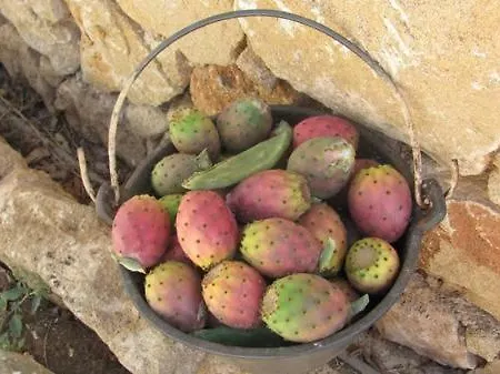 Domus Dei Capperi Casa vacanze